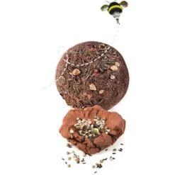 Clementoni Découverte De La Nature|Bombes De Graines - Play For Future