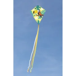 Janod Cerf-Volant Toucan- Jeux De Plage