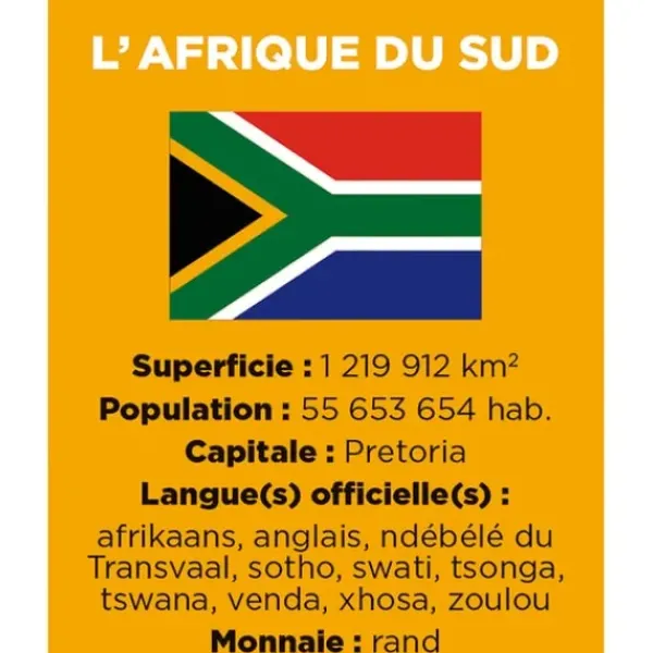 Janod Découvrir Le Monde|Coffret Educatif Cherche Et Trouve - Les Drapeaux