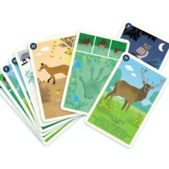 Diset Découverte De La Nature|Jeu De 9 Familles Foret