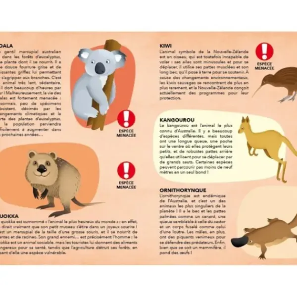 Sassi Junior Découverte De La Nature|Les Especes Menacees De La Planete - Voyage, Découvre, Explore