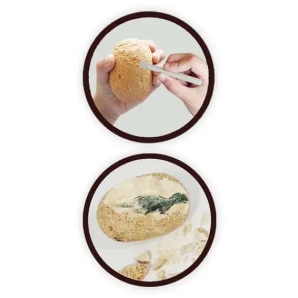 Buki Jeux Scientifiques|Oeufs Dino A Deterrer