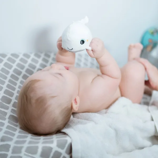 Pabobo Peluche Lumineuse Shakies Baleine- Veilleuses