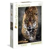 Clementoni Puzzles Adultes|Puzzle 1000 Pieces Jaguar