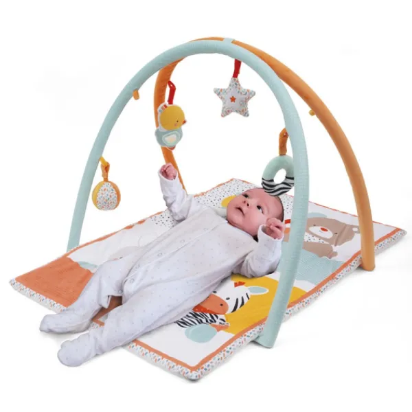 Baby Smile Tapis D'éveil Et De Motricite - Soft- Tapis D'éveil